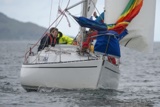 hot toddy 3199y whyw18 sun gjmc 6289w
